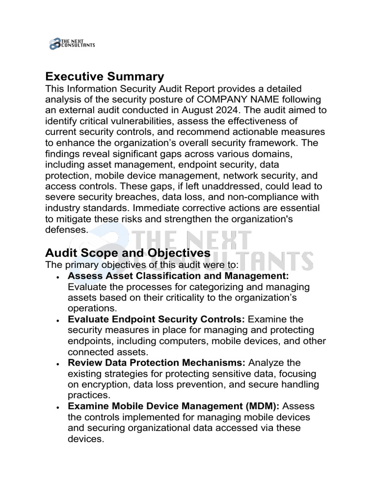 Sample Executive Report | PDF | Computer Security | Security