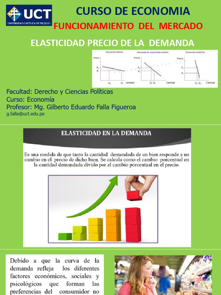ELASTICIDAD PRECIO DE LA DEMANDA | PDF | Elasticidad (economía) | Precios