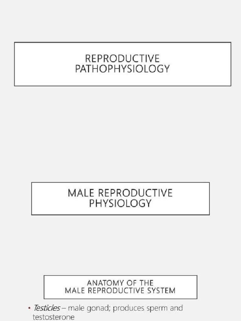 Reproductive | PDF