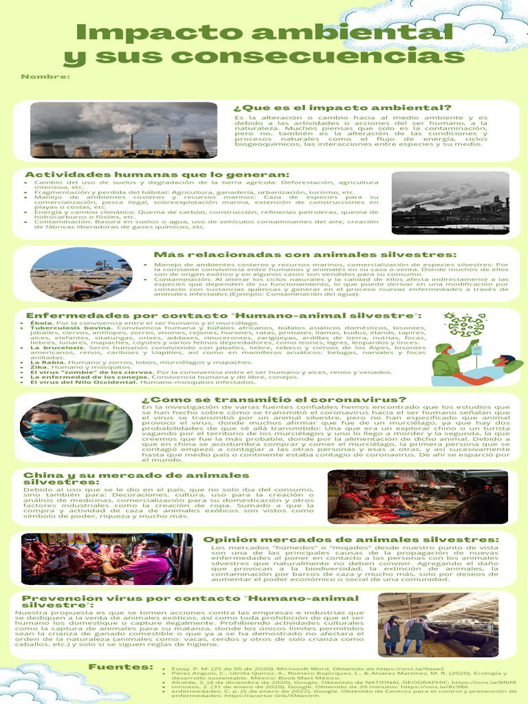 Impacto Ambiental y Sus Consecuencias | PDF | Contaminación | Entorno ...