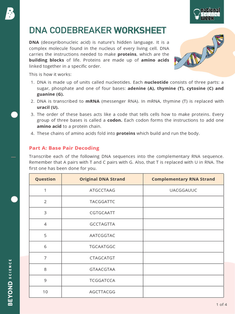DNA Codebreaker Activity | PDF | Rna | Dna