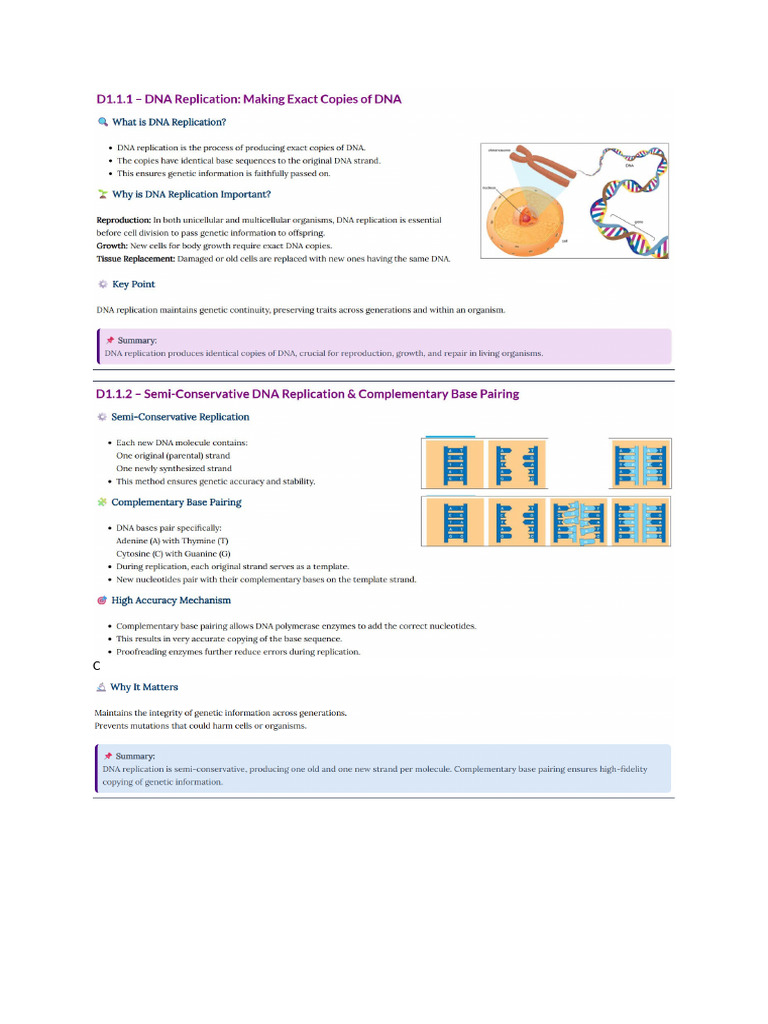 DNA Replication | PDF