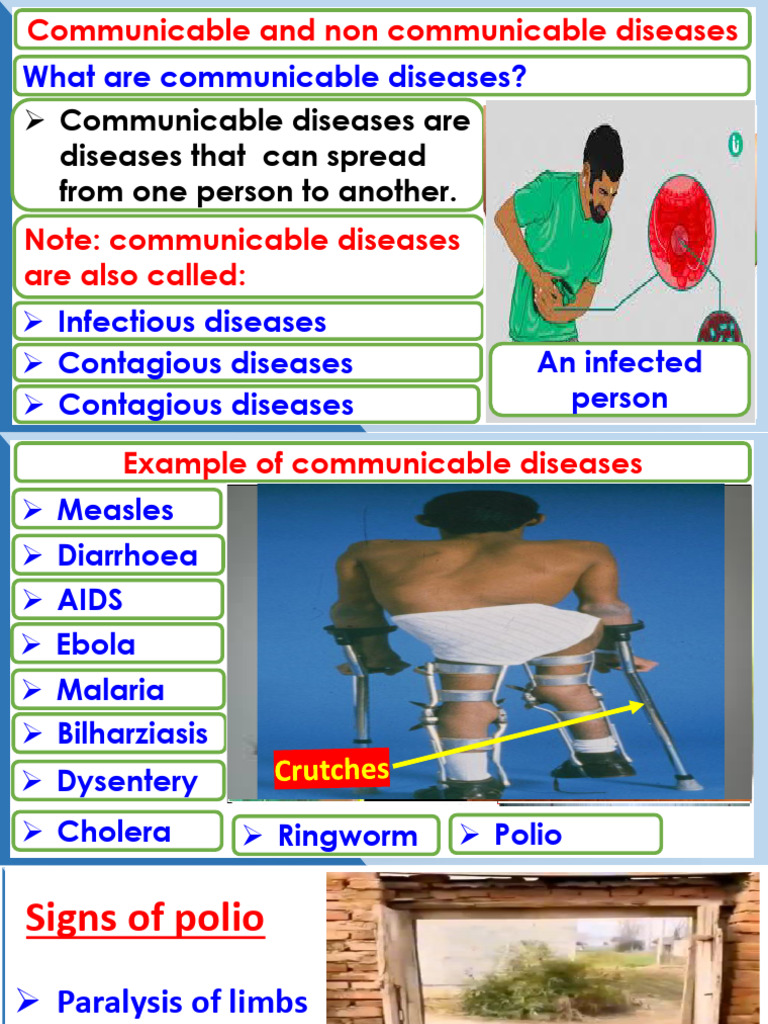 Worms Communicable and Non Communicable Diseases | PDF | Diarrhea ...