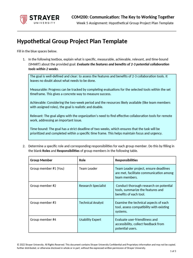 Week 5 Assignment - Hypothetical Group Project Plan Template - 10312144 ...