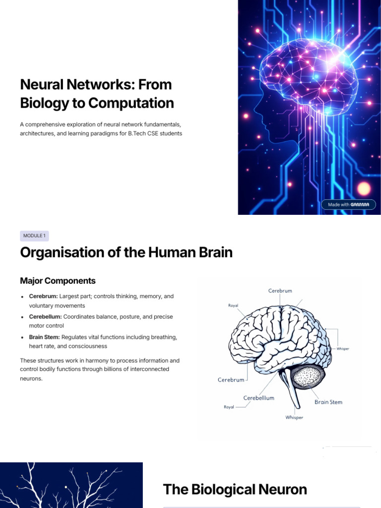 Neural Networks From Biology To Computation | PDF | Neuron | Nervous System