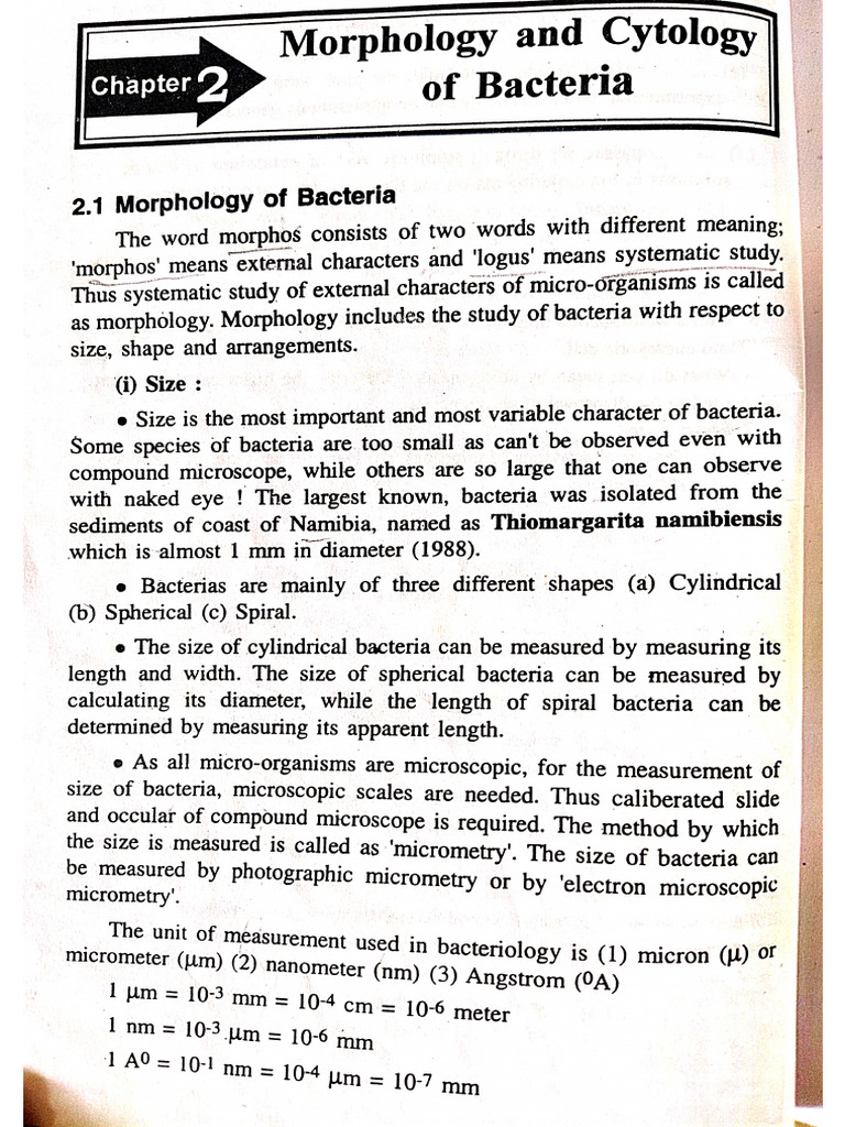Bacterial Cytology Notes For Students of Fy - BSC Microbiology | PDF