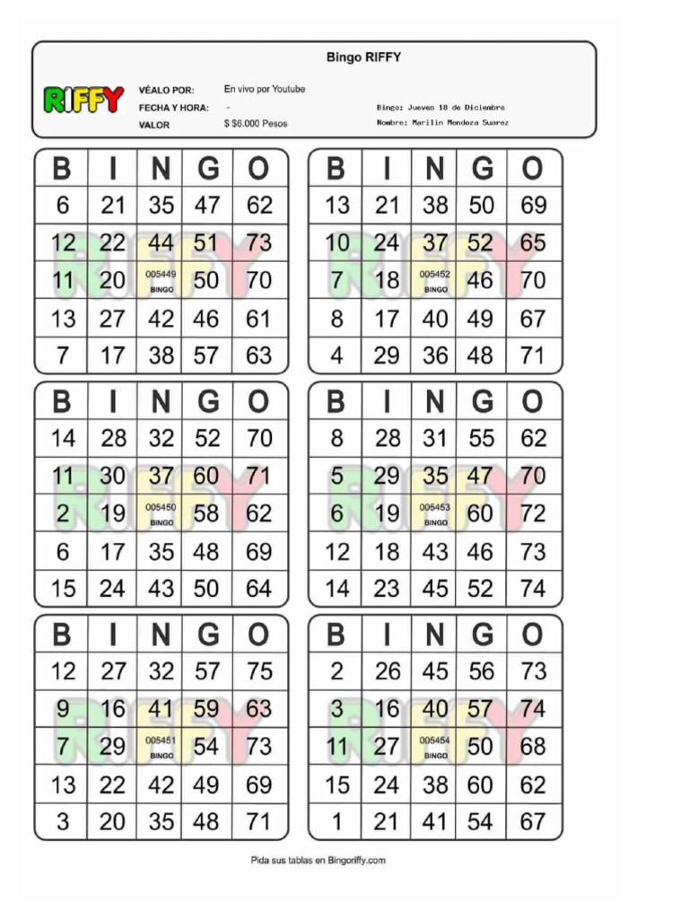 Bingo | PDF