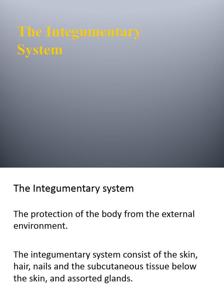 The Integumentary System | PDF | Skin | Integumentary System