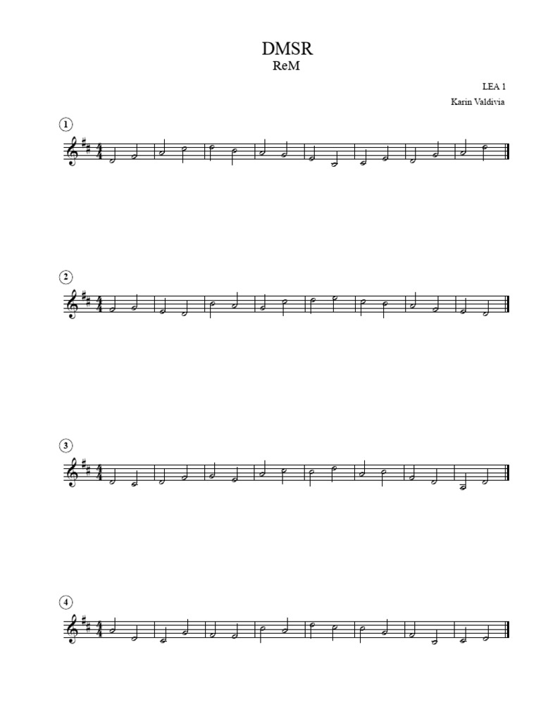 DMSR Re Mayor | PDF