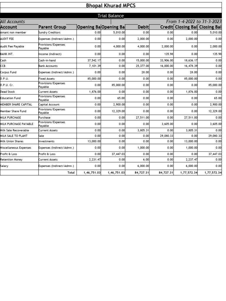 Trial Balance | PDF