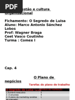 O Segredo de Luisa-Fichamento