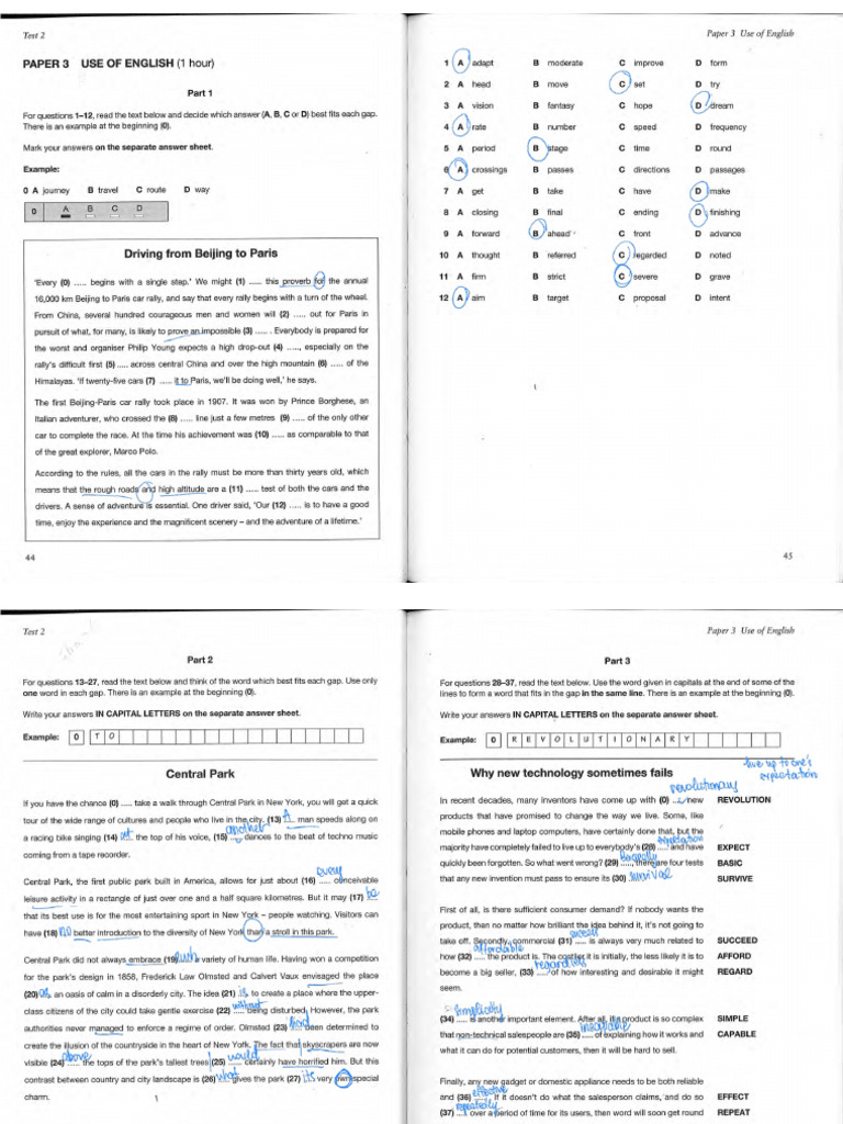 CAE 3 Pan PDF | PDF