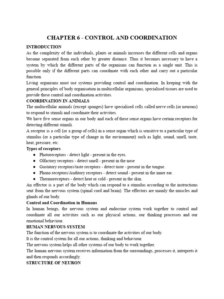 Chapter 6 - Control and Coordination | PDF | Neuron | Axon