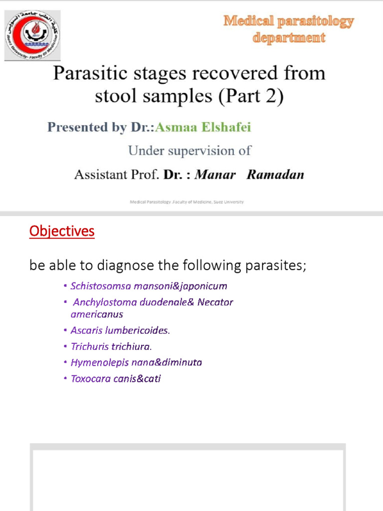Section 2 Git 2025 | PDF