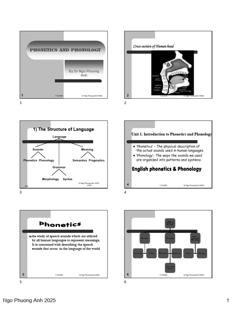 W1 Phonetics and Phonology | PDF | Phonetics | Phonology