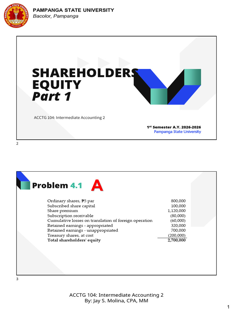 Ch10 - Shareholders Equity Part 1 Problem 4 Solutions | PDF
