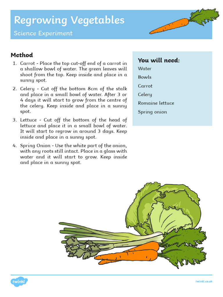 Science Experiment | PDF