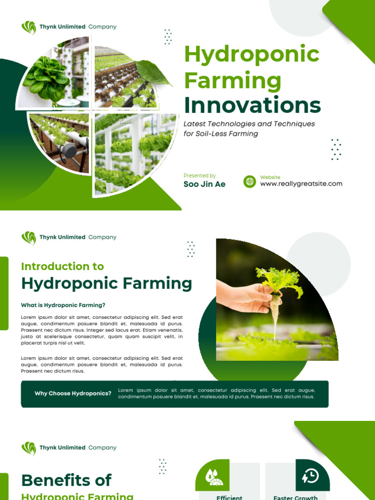 Green Modern Hydroponic Farming Innovations Presentation | PDF
