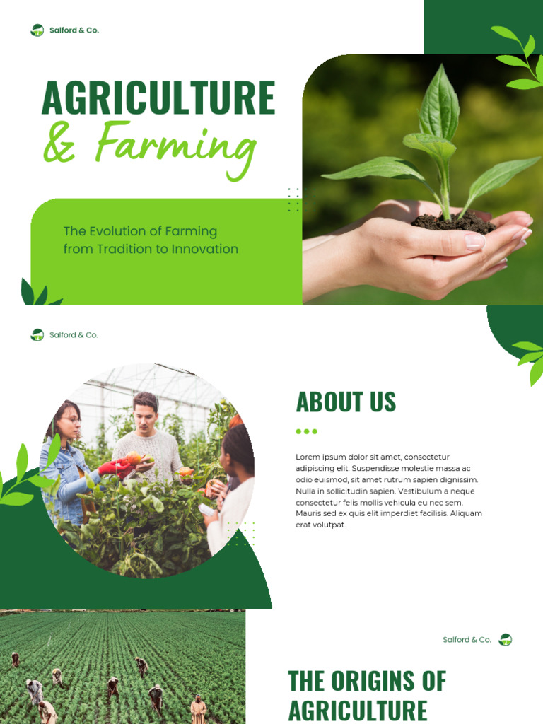 Green Modern Agriculture & Farming Presentation | PDF | Agriculture ...