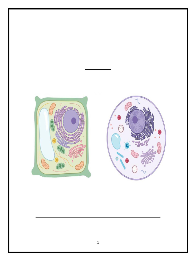 Merged Cells | PDF | Cell (Biology) | Endoplasmic Reticulum