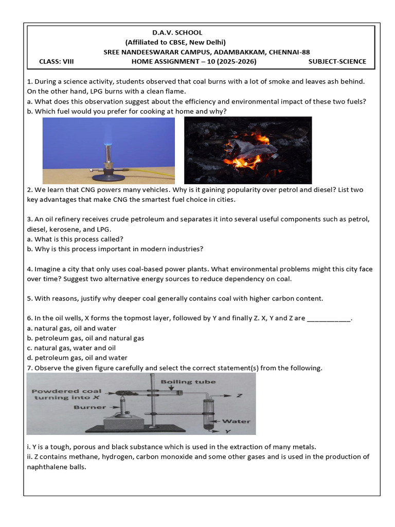 Class 8 SCIENCE HOME ASSIGNMENT 10 2025 26 1767001512 | PDF | Natural ...