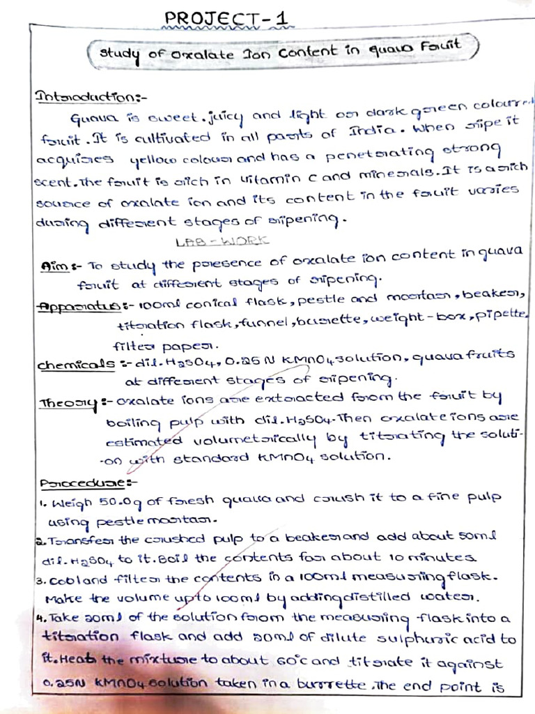 Project 1 | PDF