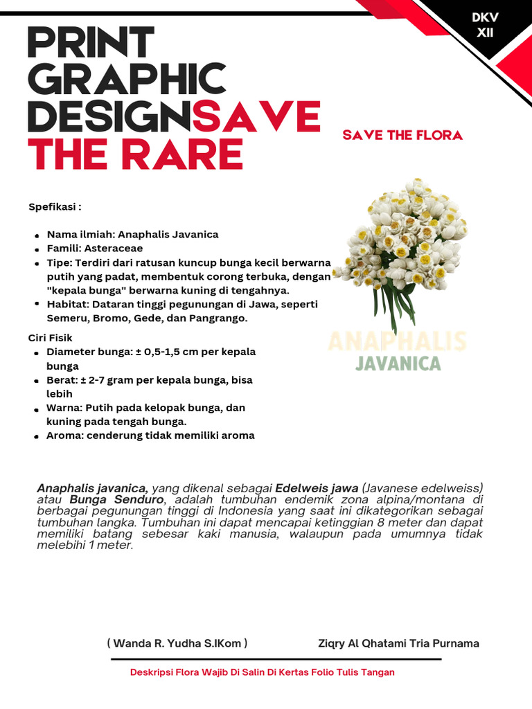Template Flora Class Xii PDF | PDF