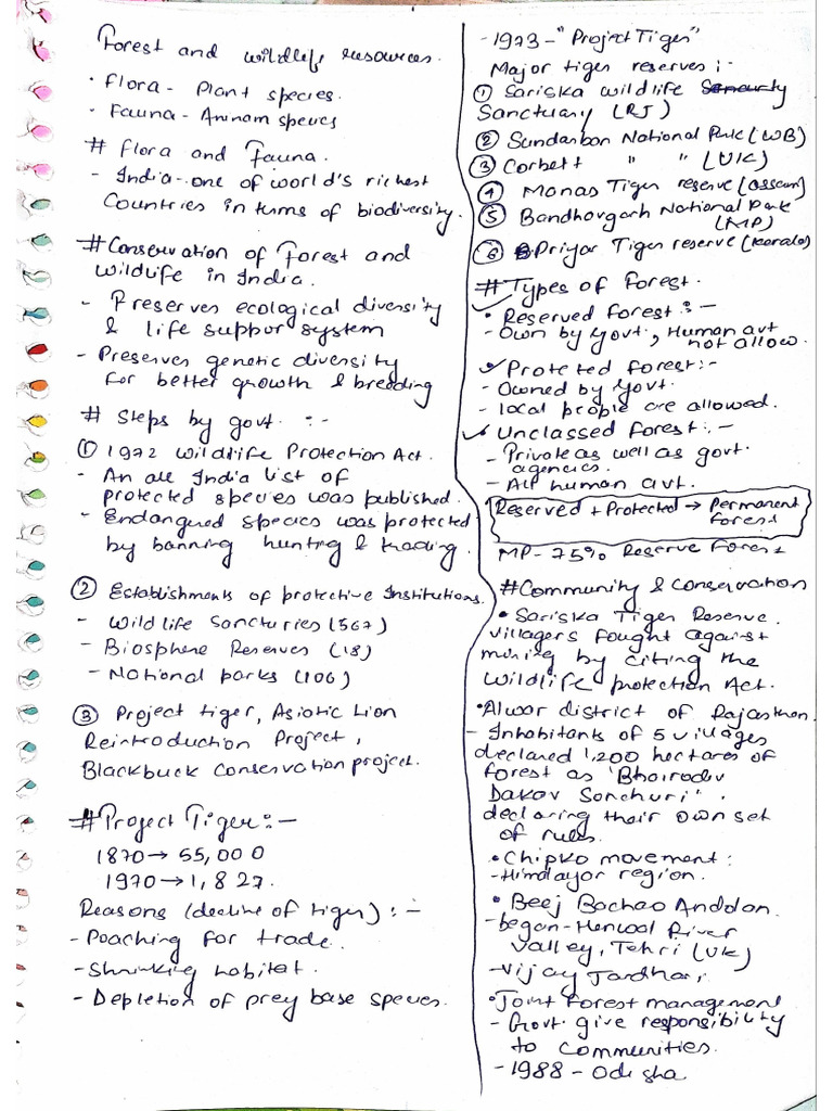 SST 1 Page Notes | PDF