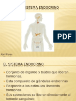 El Sistema Endocrino 1224396295238568 8