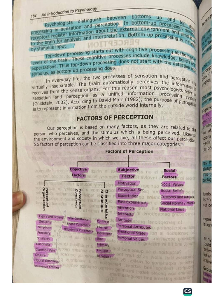 Perception | PDF