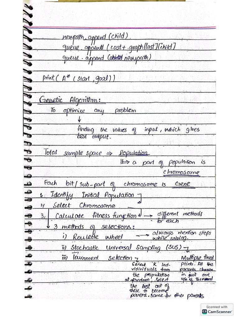 AI After Mids Notes | PDF
