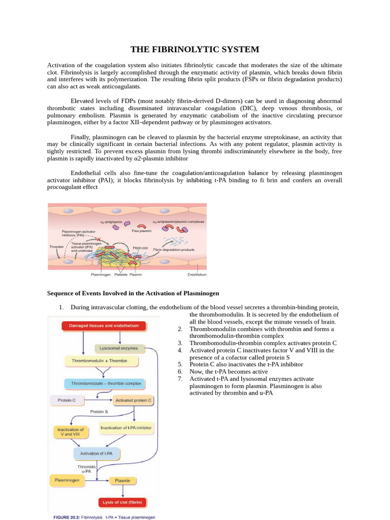 The Fibrinolytic System | PDF | Coagulation | Thrombus