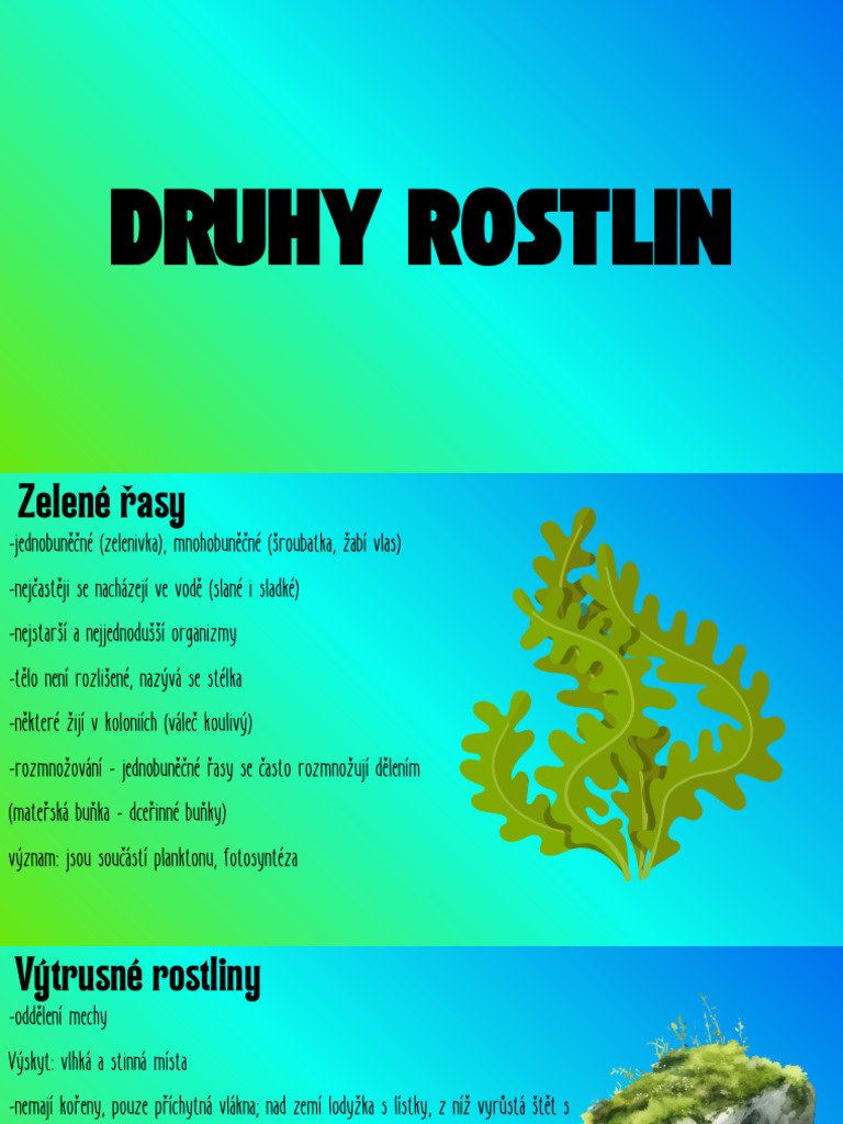 Př712 Druhy Rostlin - Prezentace | PDF