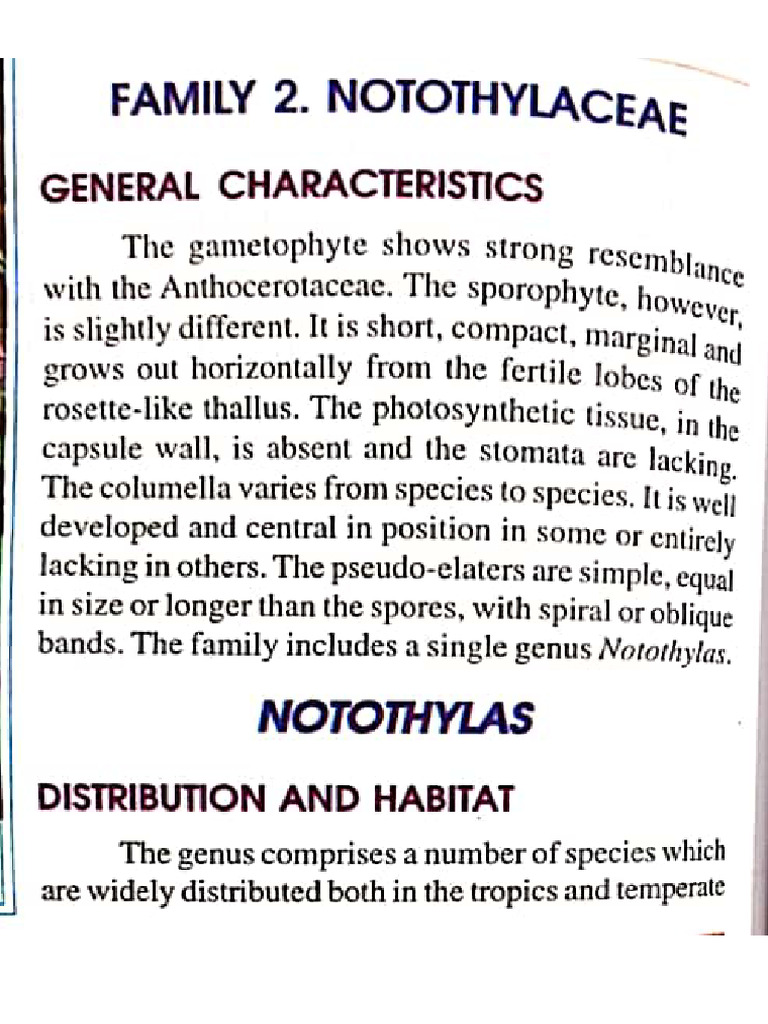 Notothylas Systematic Position, Affinities and Evolutionary Position | PDF