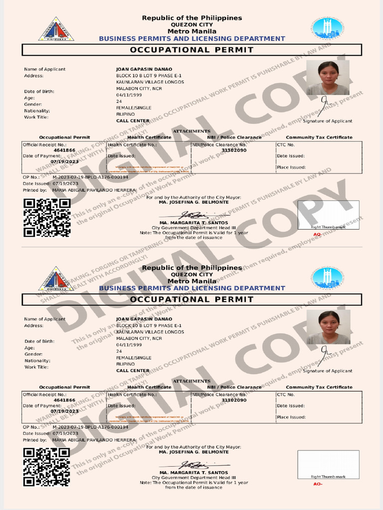 Occupational Permit | PDF