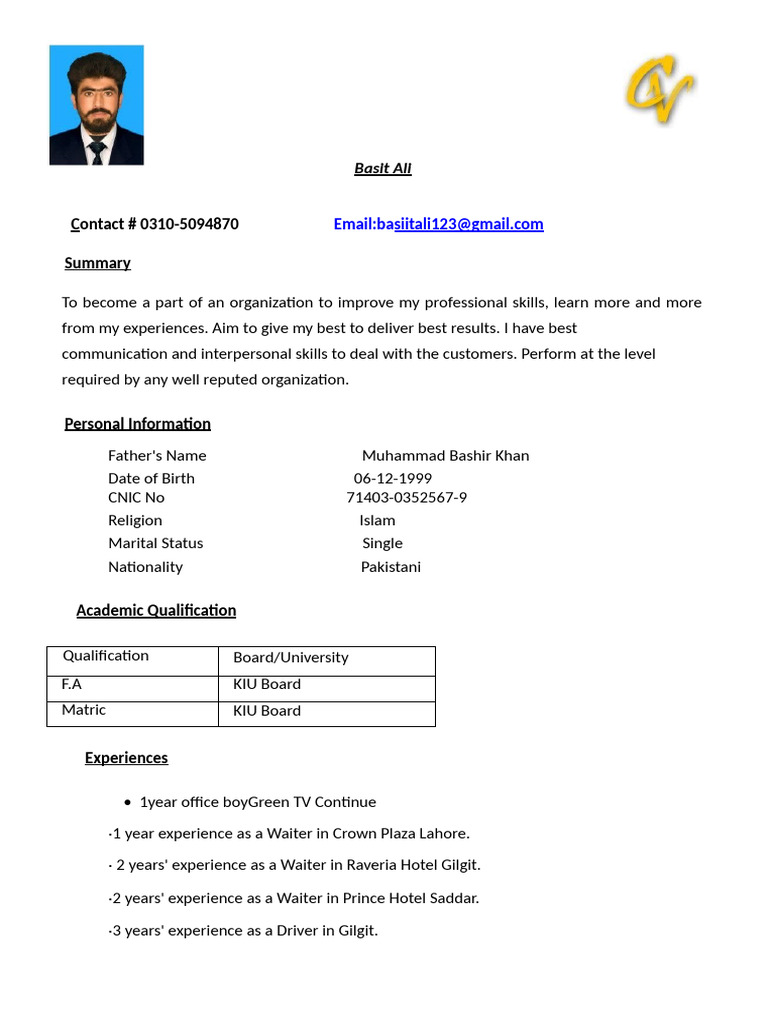 CV Basit | PDF