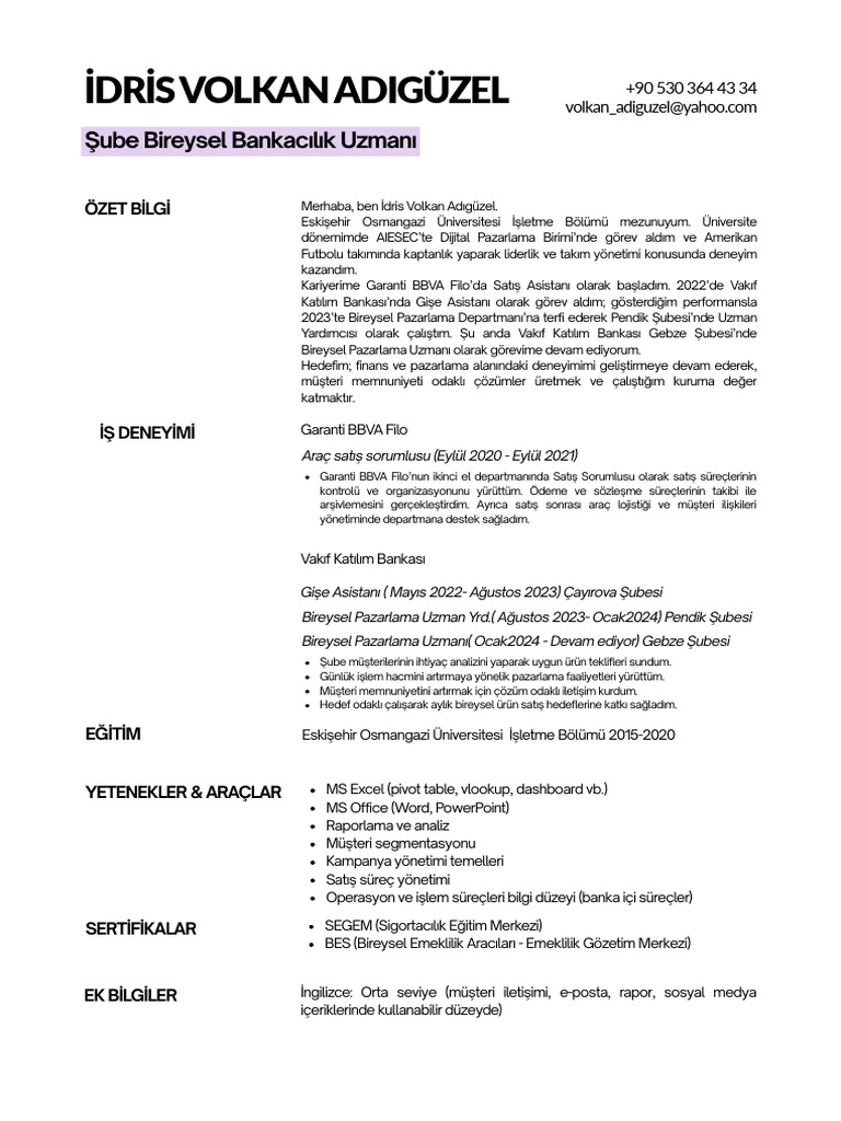Idris Volkan Adigüzel CV | PDF