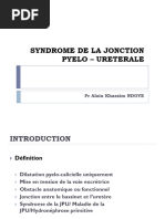 Syndrome de la Jonction Pyelo-Uréterale | PDF | Rein | Spécialités ...