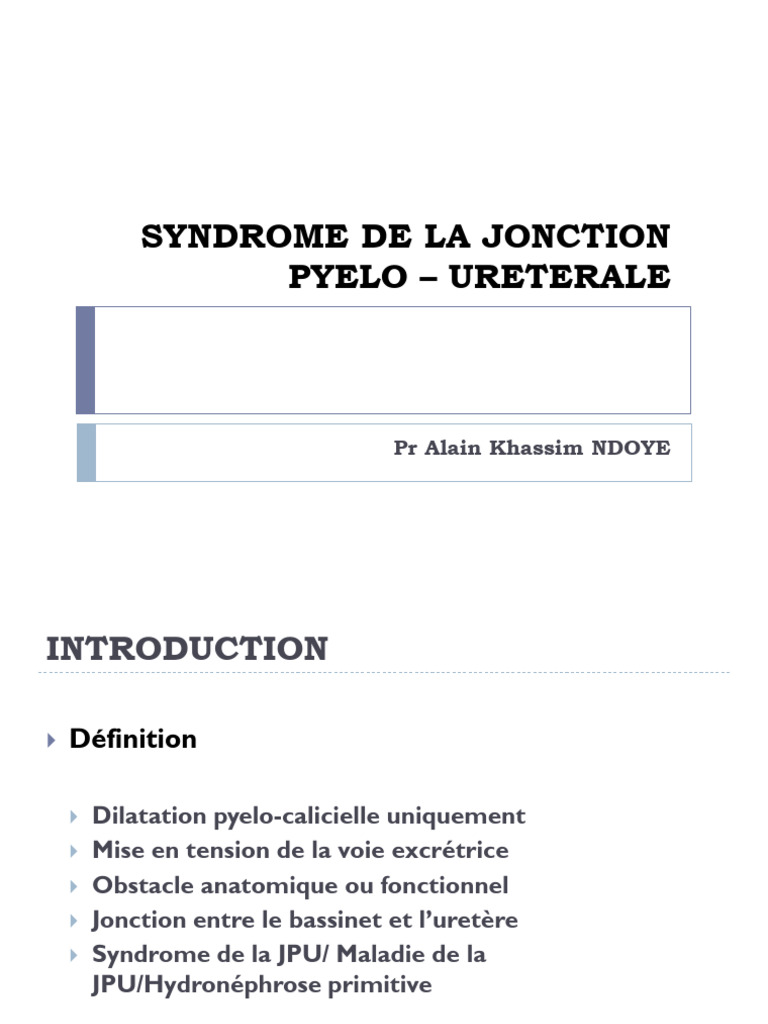 4-Syndrome de La Jonction Pyelo - Ureterale | PDF | Rein | Organe