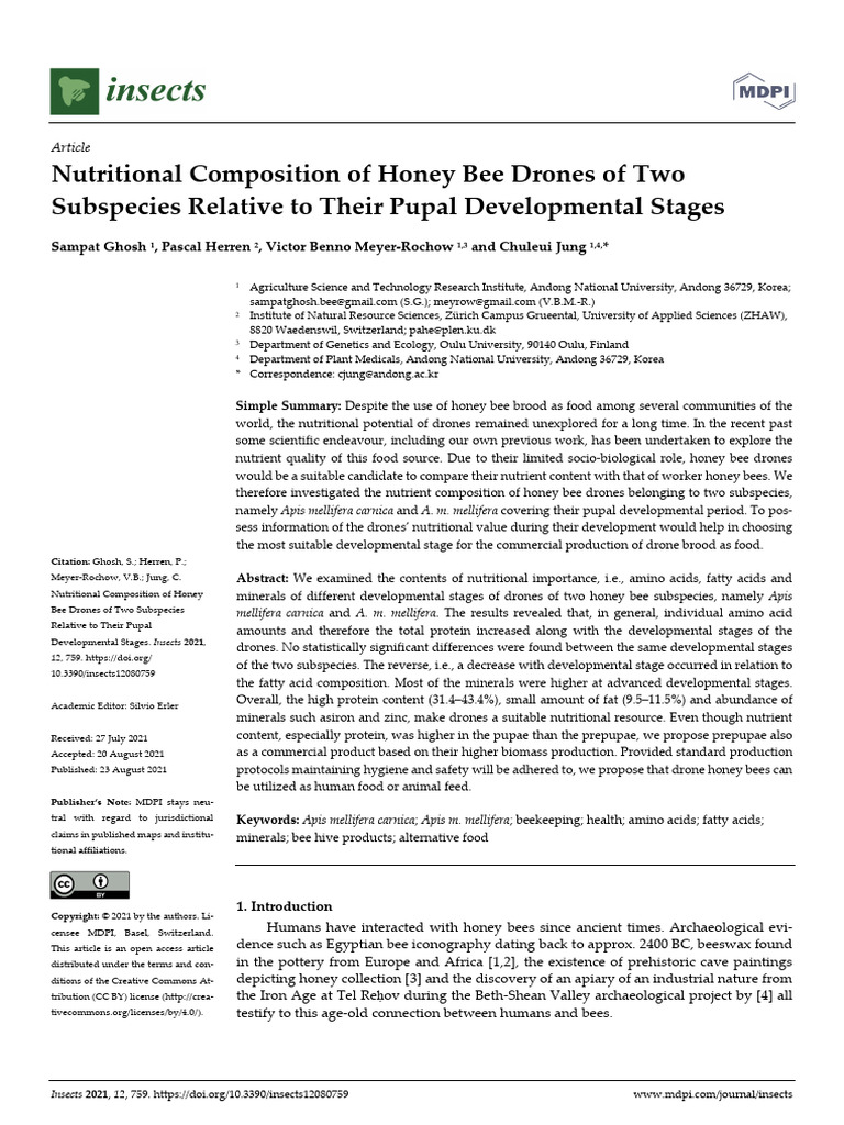 2021 INSECTS Drone Bee Composition | PDF | Honey Bee | Bees