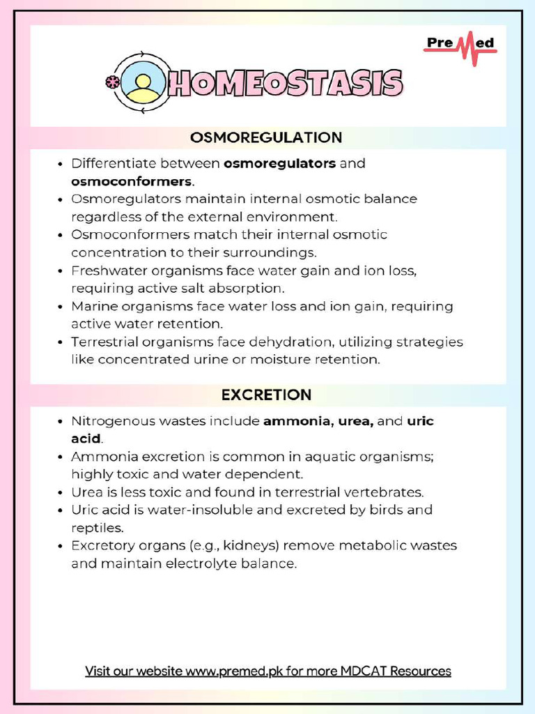 Homeostasis | PDF
