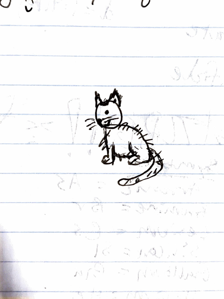 Cat | PDF