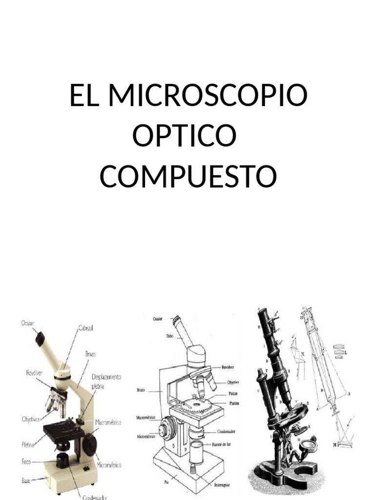 El Microscopio Optico | PDF | Microscopio | Ojo