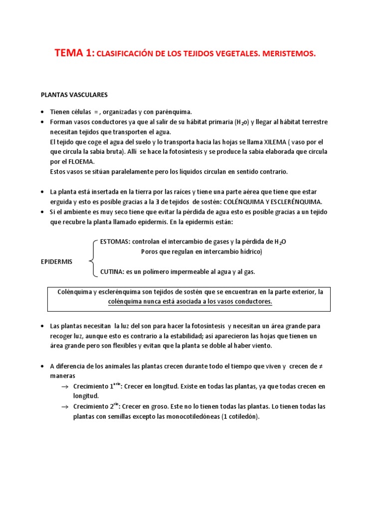 Histología Vegetal. CLASIFICACIÓN DE LOS TEJIDOS VEGETALES. MERISTEMOS ...