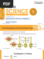 Seed Formation and Dispersal Methods | PDF | Fertilisation | Flowers
