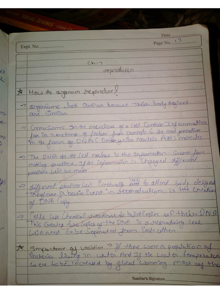 CH 7 Notes | PDF