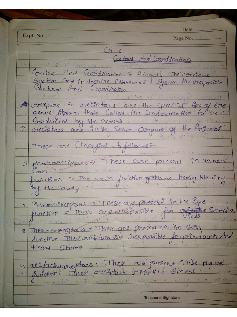 CH 6 Notes | PDF