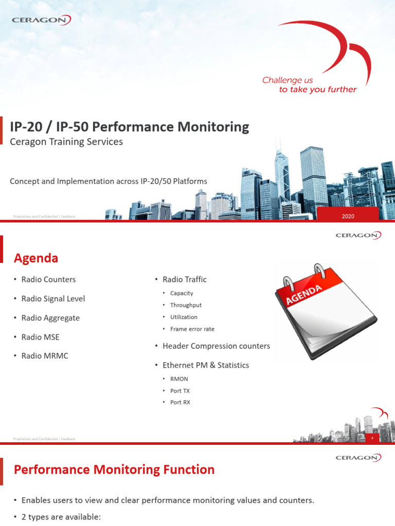 IP-20 50 Performance Monitoring Common11.3 f2 | PDF | Ethernet | Bit Rate