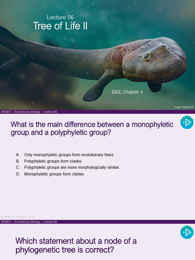 Lec06 - The Tree of Life II | PDF | Phylogenetic Tree | Evolution