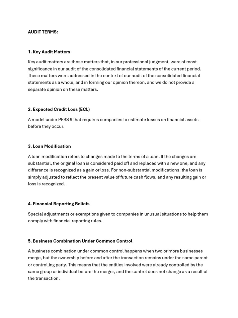 Audit Terms1 | PDF